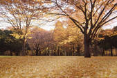 tkf003_104259
