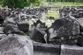 tkf003_104421