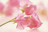 tkf003_104557
