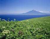 tkf003_105364