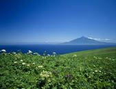 tkf003_105425