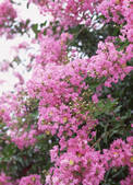 tkf003_106662