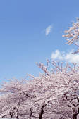 tkf003_107435