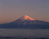 tkf003_107509