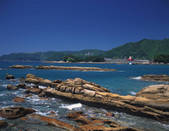 tkf003_109991