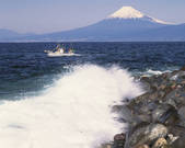 tkf003_112708