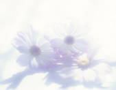 tkf003_113933
