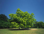 tkf003_116355