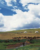 tkf003_121811