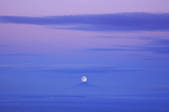 tkf003_122235