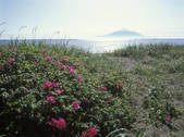 tkf003_122739