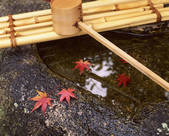 tkf003_128650