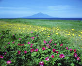 tkf003_128736