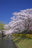 tkf003_129489