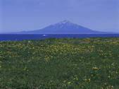 tkf003_129799