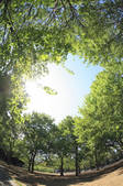 tkf003_130366