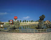 tkf003_137373