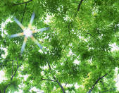 tkf003_138494