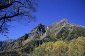 tkf003_138537