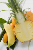 tkf001_686220