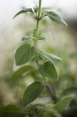 tkf001_698460