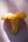 tkf001_722012