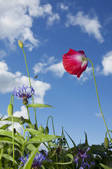 tkf001_902206