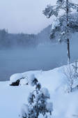 tkf001_902212