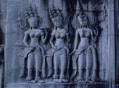 tkf003_144511