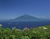 tkf003_144558