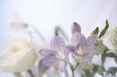 tkf003_145964