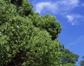 tkf003_149553