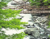 tkf003_150139