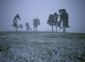 tkf003_155963
