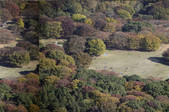 tkf003_166117
