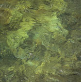 tkf003_171546