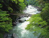 tkf003_174890