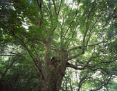 tkf003_175513