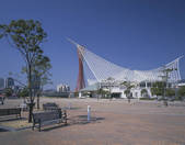 tkf003_177416