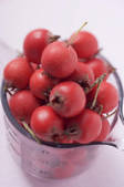 tkf003_278008