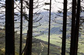 tkf003_289808