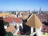tkf003_348326