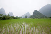 tkf003_377900