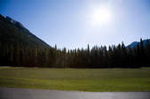 tkf003_381867