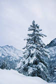 tkf003_390438