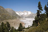 tkf003_401854