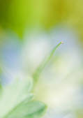 tkf003_434015