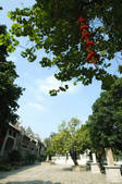 tkf003_443862