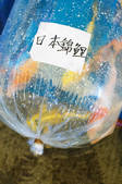 tkf003_447564