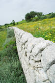 tkf003_455403